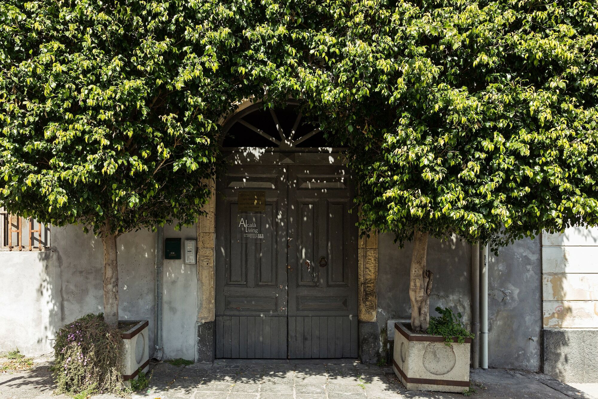 Alcalà Living B&B Aeroporto di Catania Fontana Rossa Esterno foto